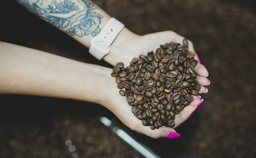 palarnia kawy Warszawa